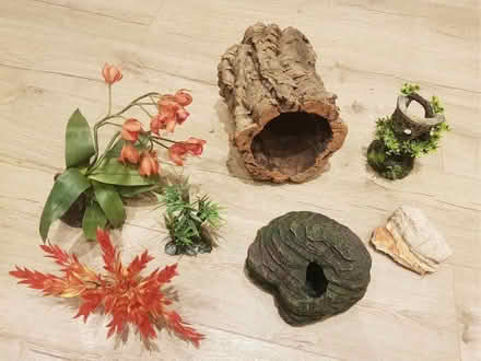 Photo of free Vivarium decorations for snake/ reptile (Stocksbridge S36) #1