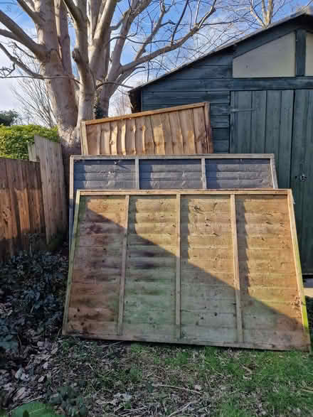 Photo of free Fence panels (Palmers Green N14) #2