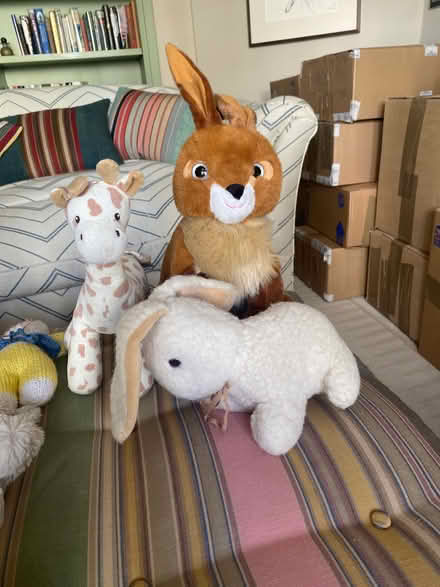Photo of free Soft Toys (South Kensington W8) #3