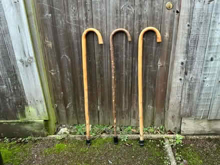 Photo of free Walking sticks (Hadleigh SS7) #1