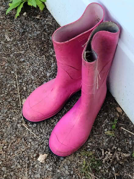 Photo of free Pink wellies size 5 (Curbridge OX29) #1