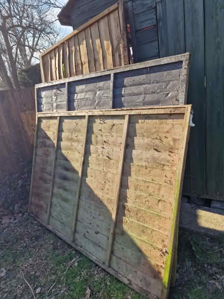 Photo of free Fence panels (Palmers Green N14) #1