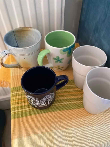 Photo of free Various mugs (University Area RG1) #1