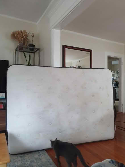 Photo of free Posturepedic 53 x 74 in mattress (College Hill) #1