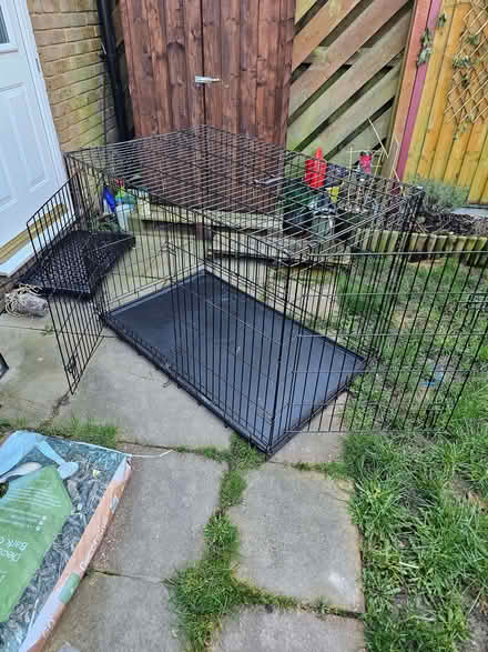 Photo of free Large dog Crate (Bedfont TW14) #2