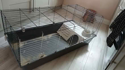 Photo of free Guinea pig cage (Southmead BS10) #2