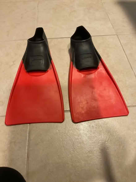 Photo of free Swim fins (Parsippany, NJ) #1