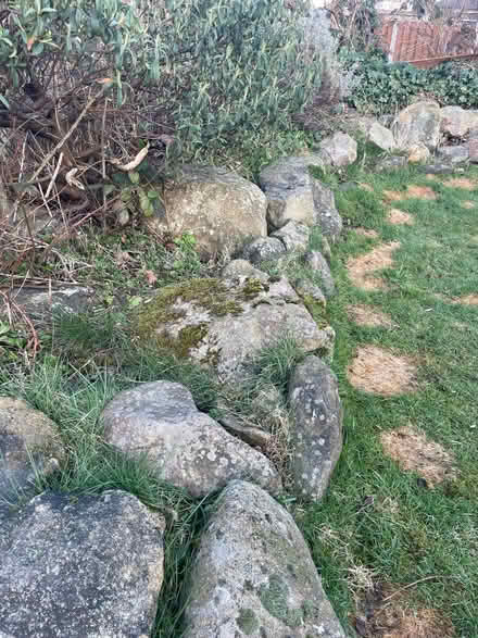 Photo of free Lots of rockery stone (Horsforth LS18) #3