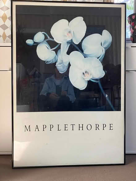 Photo of free framed Mapplethorpe orchid poster (Novato) #1