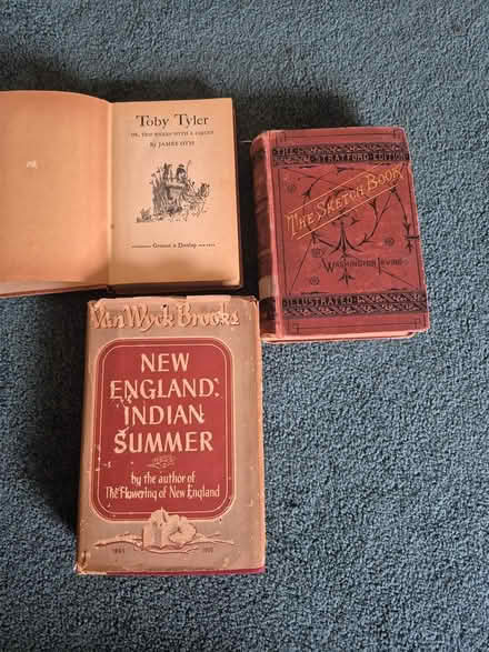 Photo of free Old books (Severn's Crossings) #1