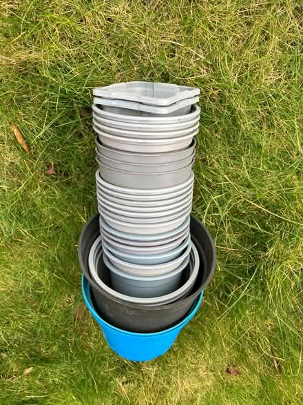 Photo of free Plastic plant pots (Cookley DY10) #1