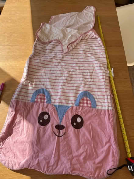 Photo of free Baby sleeping bag (West acton - W3) #1