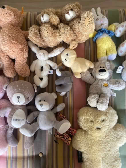 Photo of free Soft Toys (South Kensington W8) #2