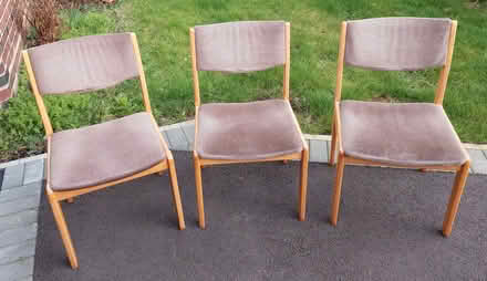 Photo of free Dining chairs (Springfield B11) #1