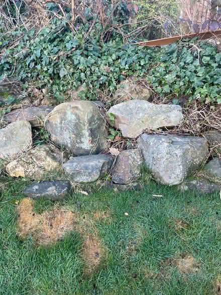 Photo of free Lots of rockery stone (Horsforth LS18) #4