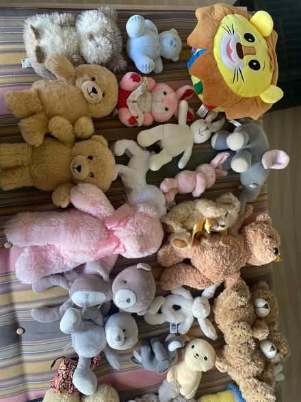Photo of free Soft Toys (South Kensington W8) #1