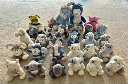 Photo of Blue nose teddies (Seaford BN25) #1