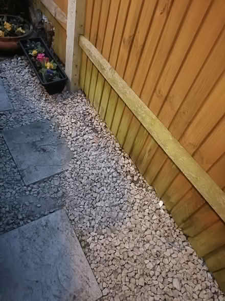 Photo of free Garden stones (Strood ME2) #2