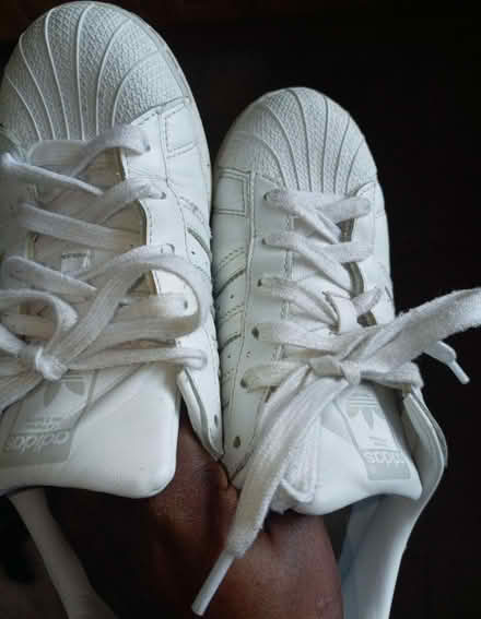 Photo of free White trainer size 38 (Coseley) #2