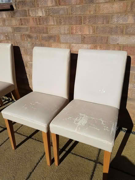 Photo of free Dining Chairs x4 (CB24) #2