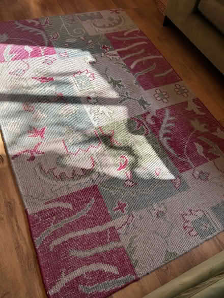 Photo of free Laura Ashley rug (Toppesfield CO9) #1