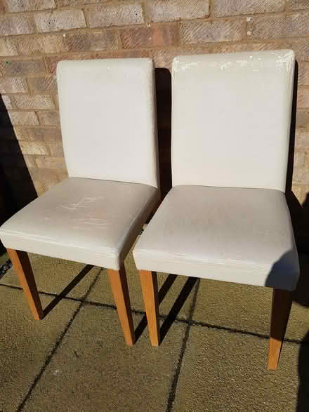 Photo of free Dining Chairs x4 (CB24) #1