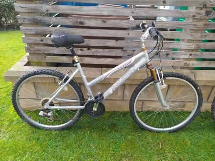 Photo of free Two Bicycles. Two for two or one for one. (Stirling FK8) #1