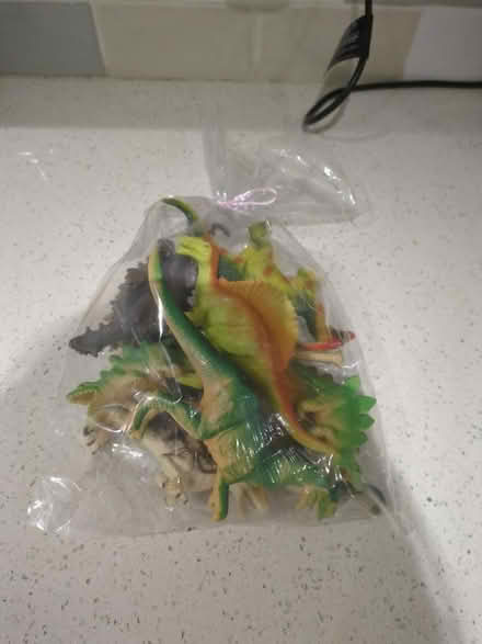 Photo of free Bag of plastic dinosaurs (Orgreave S13) #1