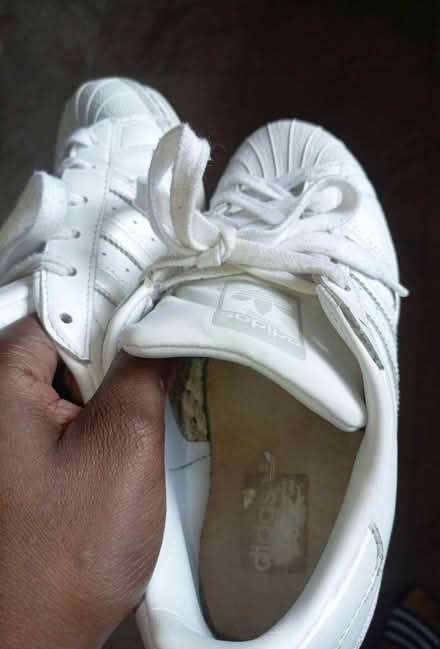 Photo of free White trainer size 38 (Coseley) #1