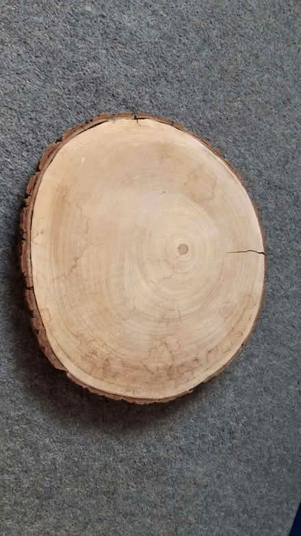 Photo of free Log Slice (Horsell GU21) #1