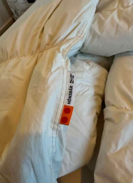 Photo of free Winter Duvet (Beeston Rylands NG9) #1