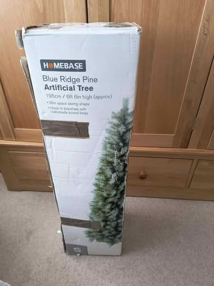 Photo of free Artificial Christmas tree (Sidford EX10) #1