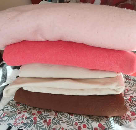 Photo of free Blankets (Chichester Lavant PO18) #1