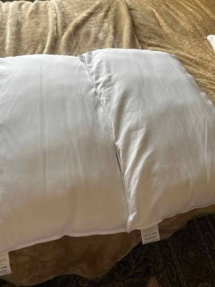 Photo of free Dorma pillows x2 (DH8 5NX) #1