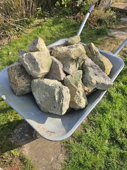 Photo of free Rock Garden Rocks (Totton SO40) #1