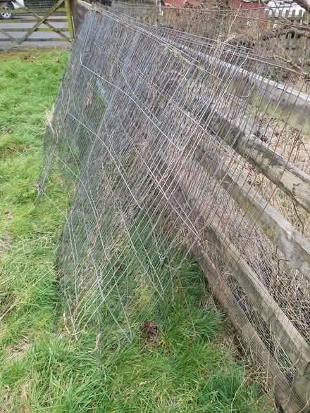 Photo of free Fencing and metal stakes from cut down heras panels (Street on the Fosse BA4) #3