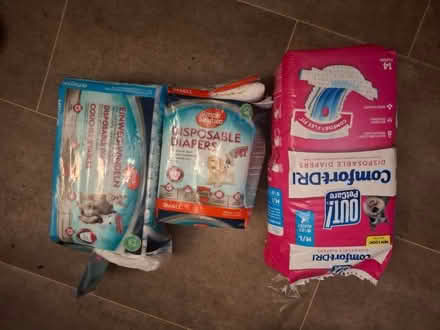 Photo of free Dog nappies (Seaside BN22) #1