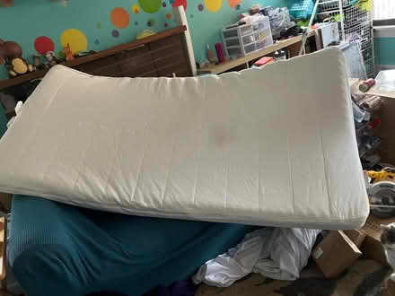 Photo of free Twin Foam mattress (Montlake (98112)) #1