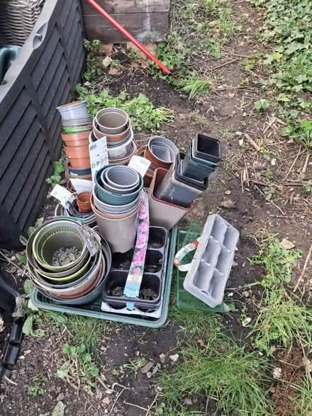 Photo of free Plant Pots (DA11) #1