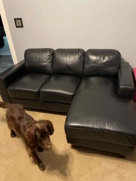 Photo of free Brown Leather Sofa (Nr Oswestry) #1