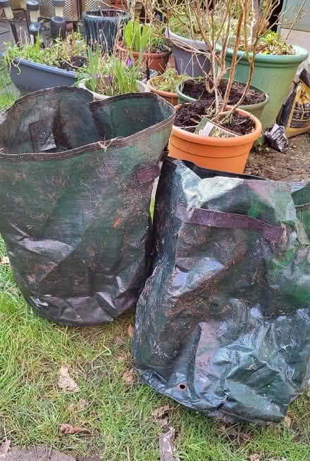 Photo of free 2 x bags for growing vege in (Osney OX2) #1