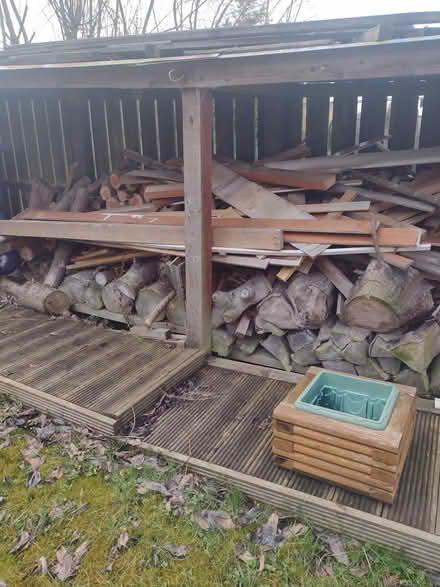 Photo of free Logs and various pieces wood (Cambuslang G72) #1