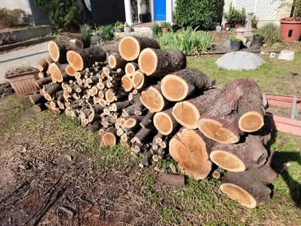 Photo of free Firewood (Near person and peace sts) #1