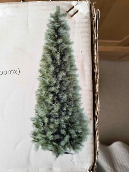 Photo of free Artificial Christmas tree (Sidford EX10) #2