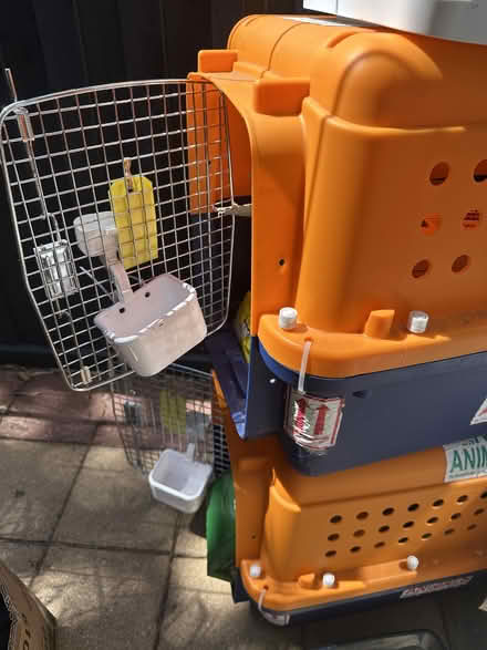 Photo of free Airline approved Pet Carrier (caulfield east) #1