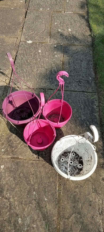 Photo of free Hanging baskets (Sprowston NR7) #1