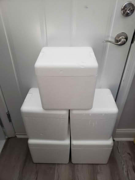 Photo of free Foam cooler boxes/ice packs (Baltimore City) #1