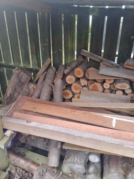 Photo of free Logs and various pieces wood (Cambuslang G72) #2