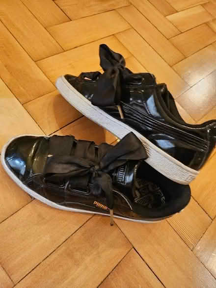 Photo of free Pumas (Ladywood B16) #1
