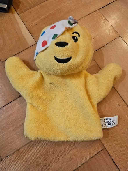 Photo of free Children in need hand puppet (Ladywood B16) #1